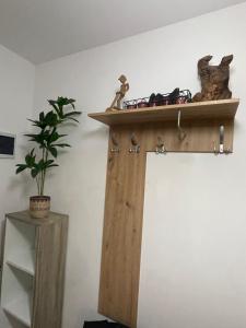 een plank aan de muur met een potplant bij Casa Shay Brasov in Braşov
