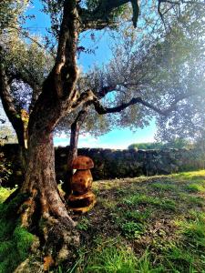 a tree with a stack of rocks under it at Torre del Tempo in Torgiano