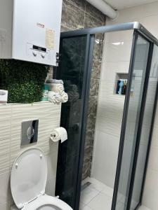 een badkamer met een toilet en een glazen douche bij Cetral032 in Čačak