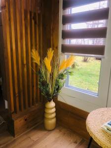 Fotografie z fotogalerie ubytování Faház a kilátónál Woodhouse Lux near Kőszeg 6km Szombathely 10km Bük 20km v destinaci Lukácsháza