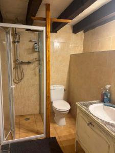 ein Badezimmer mit Dusche, Toilette und Waschbecken in der Unterkunft Maison typique Auvergne in Montel-de-Gelat