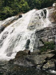 Φυσικό τοπίο κοντά σε αυτό το καταφύγιο