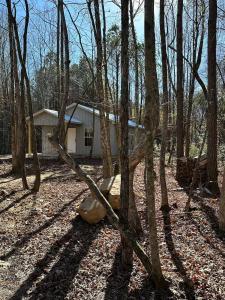 een huis midden in een bos van bomen bij Willow Oak Cottage in Fort Payne