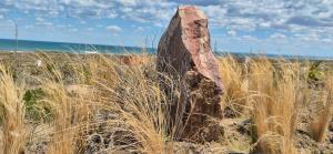 un rocher posé sur le sable près de la plage dans l'établissement Luxury Lodge Costa Blanca, à San Antonio Oeste