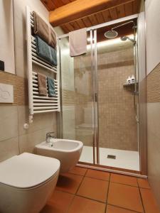 a bathroom with a toilet and a shower at Baitin Laf in Grosio