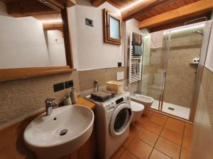 a bathroom with a sink and a washing machine at Baitin Laf in Grosio