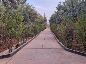 Φωτογραφία από το άλμπουμ του Ferme des Oliviers - Maison de Charme avec Vue Nature σε Sfiani