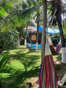 Κήπος έξω από το KAZA Balcones