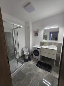 un bagno con doccia, lavandino e WC di Provence Ap 308 Baile Felix a Cordău