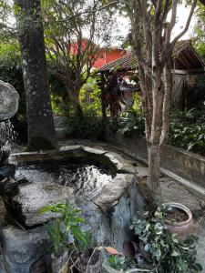 a garden with a pond and trees and a building at Cantinho da Serra do Cipó in Santana do Riacho +64 photos