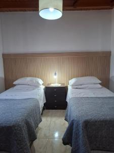 een slaapkamer met 2 bedden en een lamp op een nachtkastje bij Vista Malbec 2 in Ciudad Lujan de Cuyo