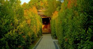 een galerij van een tuin met bomen en een wandelpad bij Luxury Sky Group Studio Apartment with Free Gym & 2 Pools in Paramaribo