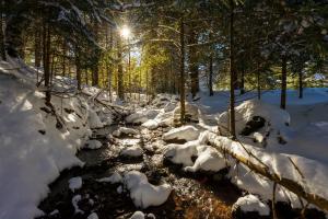 Balaitus by BeValle trong mùa đông