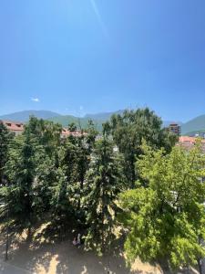 Naturlandskabet i nærheden af lejligheden