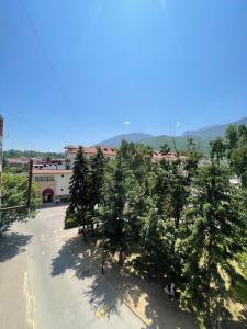 Naturlandskabet i nærheden af lejligheden