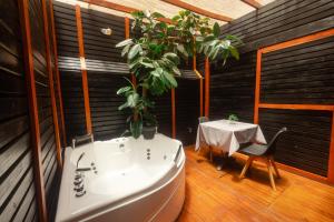 Billede fra billedgalleriet på Hotel Boutique Las Hortensias i Santiago