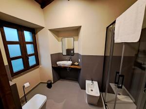 een badkamer met een toilet, een wastafel en een douche bij IL MOLINO del SIGNORE in Pergola +67 foto's