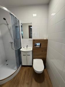 ein Badezimmer mit Toilette, Dusche und Waschbecken in der Unterkunft Kajakiem z Marzysza in Marzysz