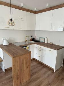 Køkken eller tekøkken på Apartament przyjazny pod Dzikowcem + 22 billeder