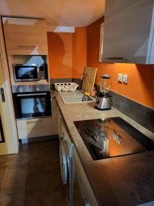 een keuken met een aanrecht met een blender bij Loft Appartement Les Angles 30133 Possibilité jacuzzi in Les Angles Gard
