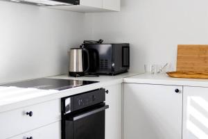 een keuken met een magnetron en een fornuis bovenste oven bij Dailes in Dzelmes +4 foto's