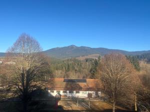 una casa con techo con montañas al fondo en Lohberg Apartment, en Lohberg