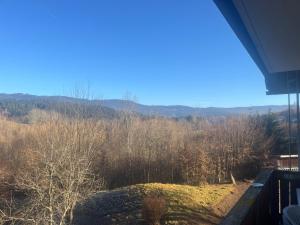 Una vista desde el balcón de una casa con árboles y una colina. en Lohberg Apartment, en Lohberg 2 fotos más