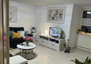 ein Wohnzimmer mit Sofa und Fernseher in der Unterkunft Wellness -Residenz Ehrhardt Urlaub mit Pool und Garten Ferienwohnung in Halberstadt in Halberstadt