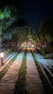 a pathway with palm trees and lights at night at BigJ Villas - Nilaveli in Nilaveli