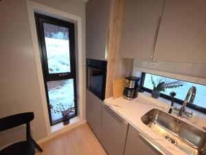 een keuken met een spoelbak en twee ramen bij House with great location in Trysil +9 foto's
