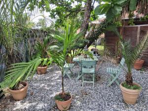 Κήπος έξω από το Fredic'lodge