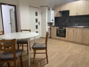 Køkken eller tekøkken på Byt v okolí Okoře, nedaleko Prahy a letiště