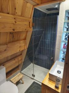 ein Badezimmer mit Dusche, Toilette und Waschbecken in der Unterkunft Chalé da Cumieira Nova in Seia + 17 Fotos