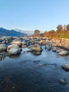 a river with rocks and trees in the background at Sunrise Vista Resort & Hotel in Bāgeshwar