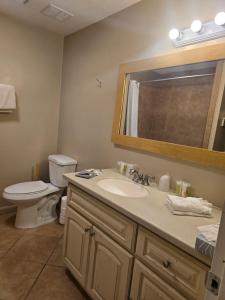 een badkamer met een wastafel, een toilet en een spiegel bij Bryce 2 bedroom home in Tropic