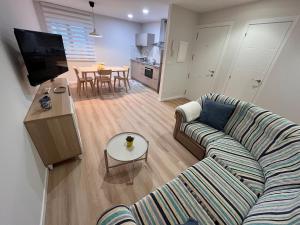 TV a/nebo společenská místnost v ubytování Valdeflores Flats Bj