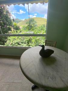 een eend die op een tafel voor een raam zit bij Flat e suítes com cozinha e churrasqueira in Conservatória