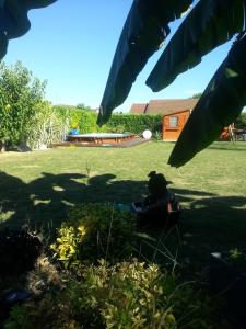 een persoon die in de schaduw van een boom zit bij Petite Escale in Beaugency +16 foto's