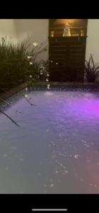 ein Wasserbecken mit violetten Lichtern in einem Garten in der Unterkunft Chuy home in Chuy