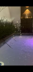 een vijver met paarse verlichting in een tuin bij Chuy home in Chuy