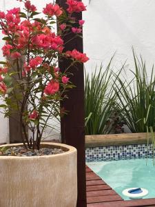 Fotografie z fotogalerie ubytování Chuy home v destinaci Chuy