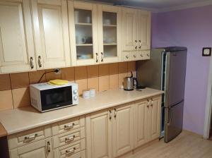 Køkken eller tekøkken på Apartament pod Rykowiskiem