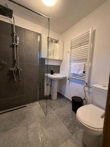 Phòng tắm tại Casa Lupilor Transfăgărășan