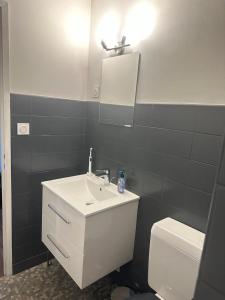 une salle de bains avec lavabo, toilettes et miroir dans l'établissement Le Nid des Pistes, à Métabief