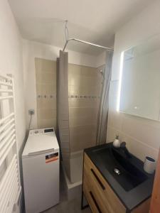 een kleine badkamer met een wastafel en een koelkast bij Evasion Alpine in Le Biot