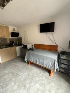 een slaapkamer met een bed en een flatscreen-tv bij Evasion Alpine in Le Biot