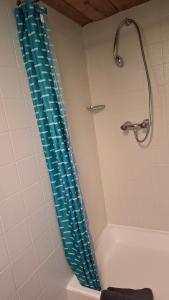 a bathroom with a tub with a blue shower curtain at Ferienhütte See 4 in Seeberg