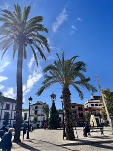 two palm trees in the middle of a street at Entrecallejones in Carmona