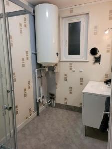 Koupelna v ubytování Gîte Les 5 Pommiers 6 pers gitesdes2vallees