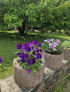 three pots of flowers sitting on a stone wall at Ferienwohnung Thomée in Looft